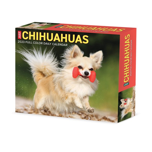Chihuahuas 2023 Calendar