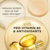 Pantene Conditioning Detangler Spray, Pro-V Repair & Protect, Nutrient Boost