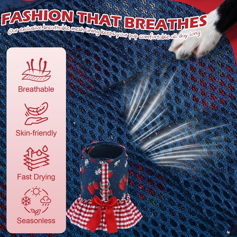 EXPAWLORER Dog Harness Small Medium Sized Dogs, No Choke No