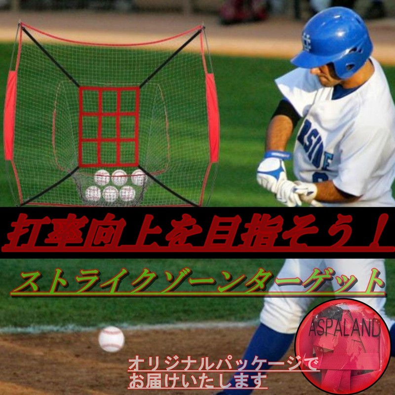 ASPALAND ストライクゾーンターゲットネット ピッチングネット 投球 打撃 野球 ベースボール ソフトボール トレーニング (ブルー)