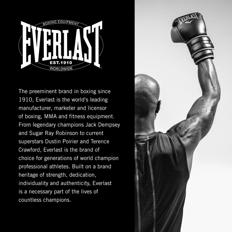 Everlast Powerlock Speed Punching Bag | Premium Leather Speed Bag