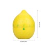 Lemon Kitchen Timer, Cute Manual Kitchen Timers for Cooking Lemon