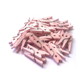 LWR CRAFTS Wooden Mini Clothespins 15 Colors 100 Per Pack 1" 2.5cm (Light Pink)