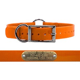 Outdoor Dog Supply's 1" Wide Solid Ring in Center Dog Collar Strap with Custom Brass Name Plate (21" Long, Orange)