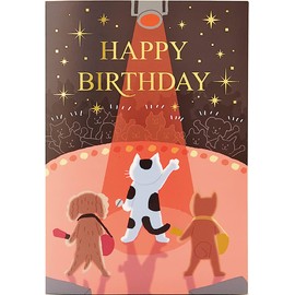 Sanrio JPME28-1 Melody Card Stage Spotlight Standard