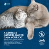 Cat Calming Pheromone Diffuser with Bluetooth Control for Multi-Cat Households—Includes