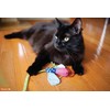 Hartz Just For Cats Twirl and Whirl Interactive Cat Toy