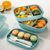 FISH DRAGATE brotdose kinder mit fächern,brotdose,bentobox,lunch box erwachsene,lunch box mit