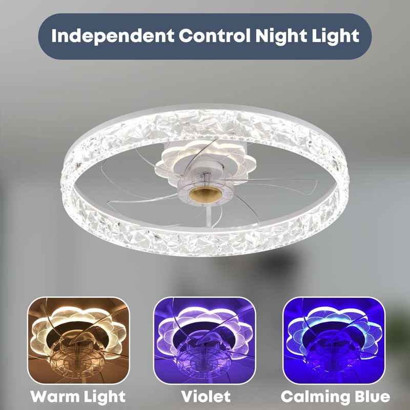 Fszdorj 20'' Ceiling Fan with Light, Upgraded Low Profile Fan,