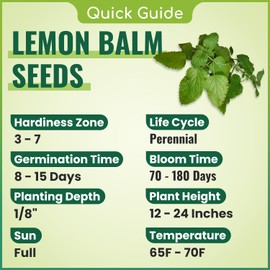 Seflore Lemon Balm Seeds for Planting, 5000 Mixed Herb Seeds, Non-GMO Heirloom Garden Seeds, Lemon Balm Herb for Planting Herbal Tea Gardens Indoors or Outdoors, Lemon Balm Herb Seeds