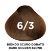 Vitalcare | Professional Permanent Hair Dye with Silk Protein #6/3,