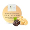 Nail & Cuticle Balm - Cocoa Butter & Beta Carotene