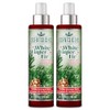 Scentsicles, Scent Mister, White Winter Fir - 2 Pack of