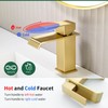 Waterfall Bathroom Faucet, Modern Single Handle Bathroom Faucets for 1