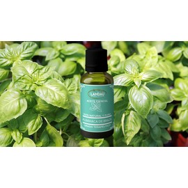 ACEITE ESENCIAL DE ALBAHACA BASIL 15ML
