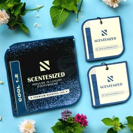 Disposable Card Freshener for Men Car Scents Air Freshener Strong Car Perfume Air Freshener with Odour Eliminating Technology Natural Fragrance Oil Based Scented Tag (Cool 1.2)