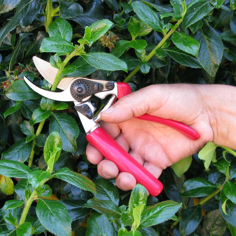 Darlac Expert Bypass Pruner with Rotating Handle – Comfortable Garden
