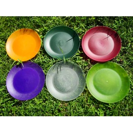 AOYITE Everyday Plastic Plates Reusable - Unbreakable 10 inch Dinner Plates set of 12 - BPA Free Dishwasher Safe & Microwave Kids Colorful Plate for Kitchen Party Camping Outdoor