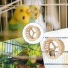 Bird Running Wheel, Spinner Running Wheels for Bird, Chew Beak