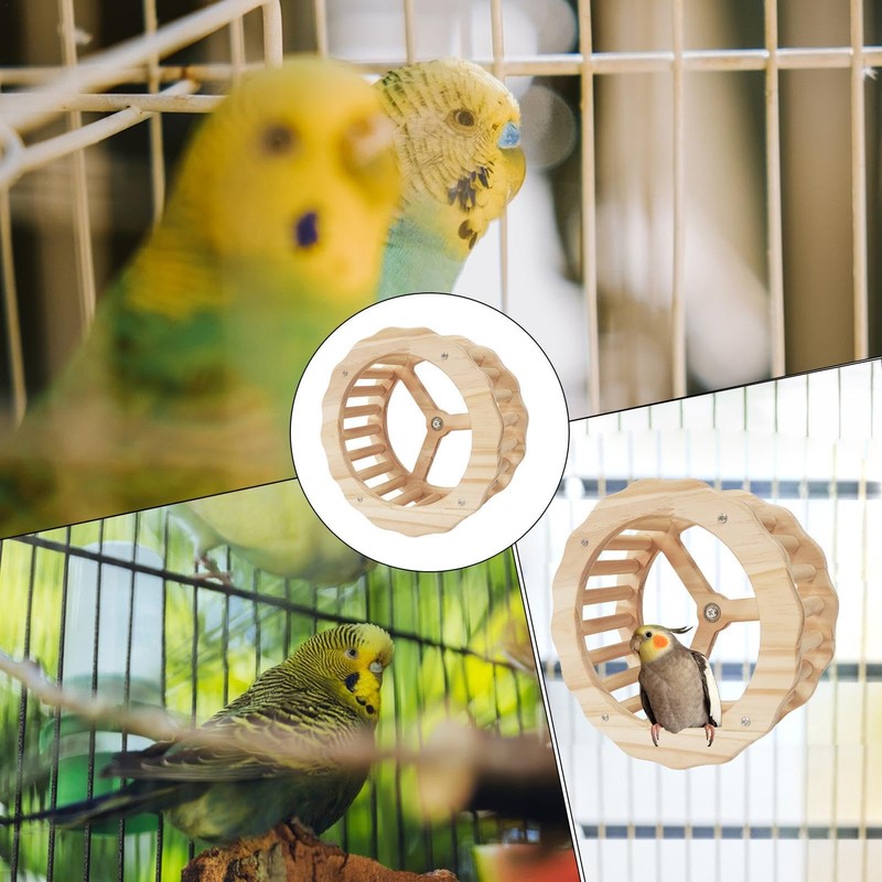 Bird Running Wheel, Spinner Running Wheels for Bird, Chew Beak