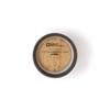 Paddywax Candles PK1101 Parks Collection Scented Candle, 11-Ounce, Yosemite -