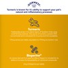 DORWEST Turmeric Tablets for Dogs and Cats, 500 Tablets, Easy-to-Absorb