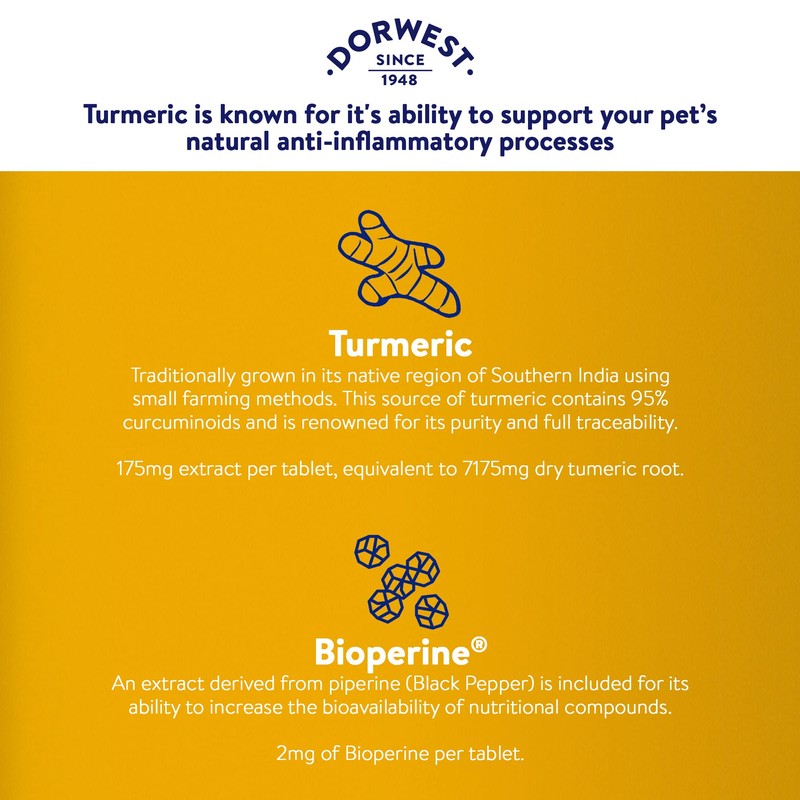 DORWEST Turmeric Tablets for Dogs and Cats, 500 Tablets, Easy-to-Absorb