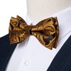 DiBanGu Bow Ties for Men Black Gold Paisley Pre-Tied Bowtie