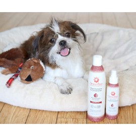 Aroma Paws Scented Dog Coat Spray – Cleansing, Conditioning, Moisturizing – Toxin Free, Healthy Ingredients – Aromatic Grooming Puppy Spray – Loosens Knots, Tangles – 4.5 Oz, Pomegranate Cucumber