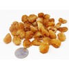 DOL Natural Dried Longan 100% Fruit Meat,Thailand sun dried longan,泰國桂圓幹/龍眼乾