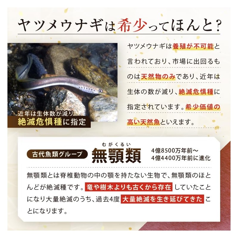 AILK 八つ目うなぎパーフェクト肝油 90粒 天然ビタミンA 高濃度 ヤツメウナギサプリ アイケア やつめうなぎ 肝油 オメガ3