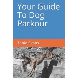 Your Guide to Dog Parkour