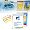 Plastic pH Test Strips, Universal Application (pH 0-14), 100 Strips