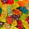 Albanese World's Best 12 Flavor Gummi Bears | 9oz of