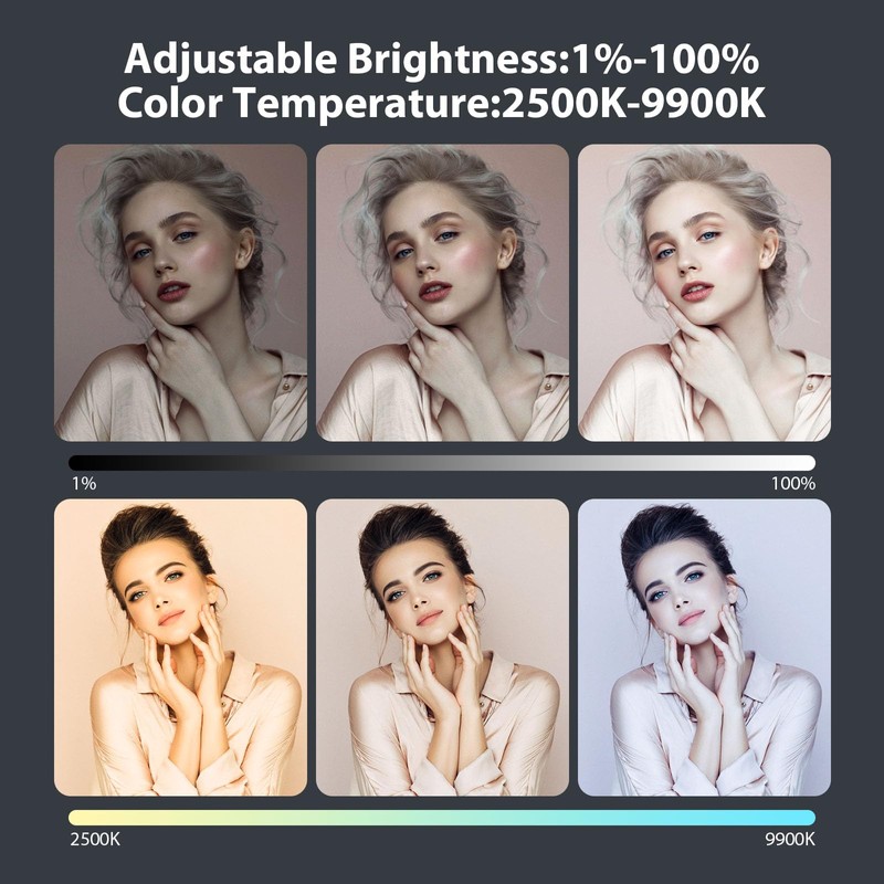 ENEGON 4000mAh Rechargeable Mountable Bicolor LED Video Light with Mini
