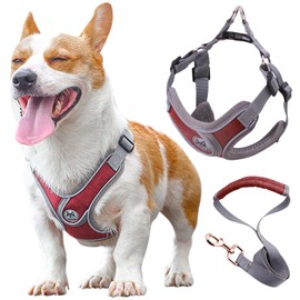 Wocharm Dogs Breathable Harness with Leash Adjustable Outdoor Walking Pet Puppy Vest （S,Dark Red）
