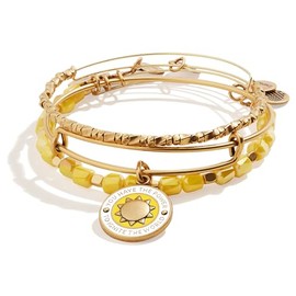 Alex and Ani AA637022Expandable Bangle BraceletRG,I Have the Power to Ignite the World Set of 3,Rafaelian Gold,Yellow, Bracelet
