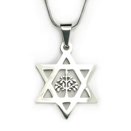 Ann Claridge Star of David and Tree of Life Necklace, 18" chain, Pure 304 Stainless Non Tarnishing, Shield of David, Magen David with Etz Chaim
