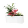 SAROSORA 14" Rectangle Self Watering Planter with Water Level Indicators