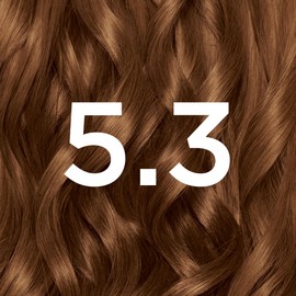 Garnier Nutrisse Ultra Crème Vegan Hair Dye, 5.3 Golden Brown. For 100% grey coverage and warm, shimmering 8-week colour. This no-ammonia, vegan formula gives your hair a beautiful golden glow.
