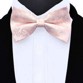 GUSLESON Blush Pink Bow Tie for Men Pre-Tied Silk Paisley Bowties for Wedding Party (0496-49)
