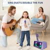 Karaoke Machine for Adults and Kids with 2 UHF Wireless