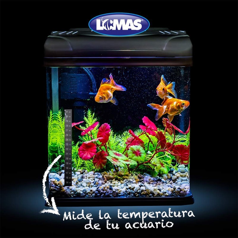 Lomas - TERMOMETRO EXTERNO EN BLISTER