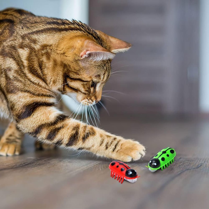 Kinberry 4pcs Mini Robot Beetle Cat Toy - Electric Glowing