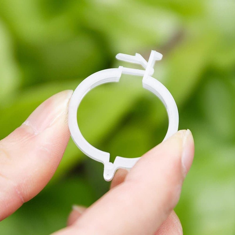 100Pcs White Plastic Trellis Clips Plant Support Clips,Tomato Clip,Cages Plants