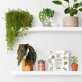 Qvapt Woodland Nursery Wood Box Sign, Woodland Nursery Desk Decor, Safari Animal Nursery Decor, Woodland Nursery Decor Gifts, 5x5 Inches