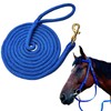 Horse Lead Rope, Double Braided Nylon Lead Line, Lead Rope