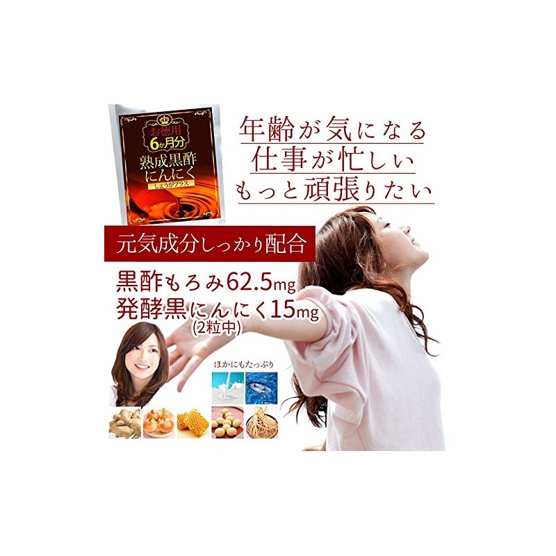 熟成黒酢にんにく しょうがプラス 360粒 約6か月分