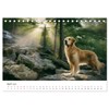 Herz aus Gold - Retriever zum Verlieben (Tischkalender 2026 DIN