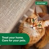 Advantage Carpet & Upholstery Spot Spray | Kills Fleas &